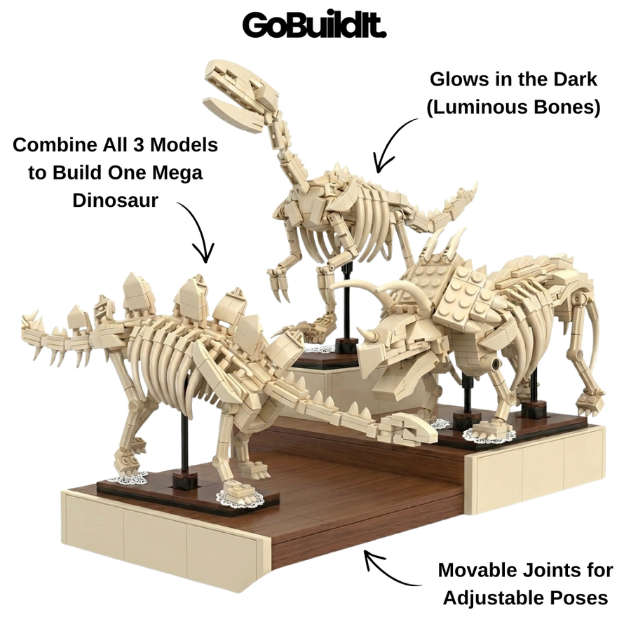 Dinosaur Fossils Kit