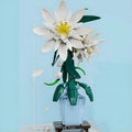 The Epiphyllum Bouquet 800PCS