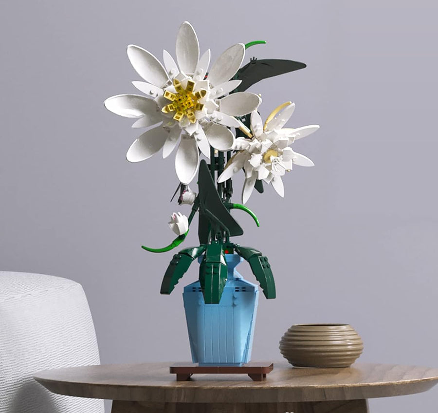 The Epiphyllum Bouquet 800PCS