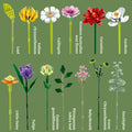 Flowers Bouquet 836PCS