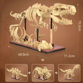 Dinosaur Fossils Kit