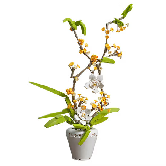 The fragrans 430PCS