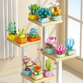 Succulent Desktop Decoration