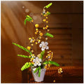 The fragrans 430PCS