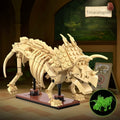 Dinosaur Fossils Kit
