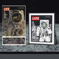 Astronaut to the Moon 2188PCS